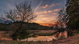 KongresČeská Lípa